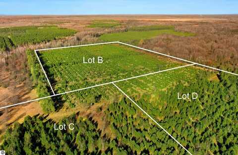 70 ACRES B-C-D WALLIN ROAD, THOMPSONVILLE, MI 49683