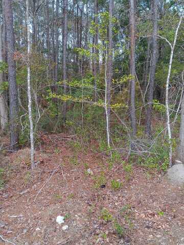 TBD Sean River Rd., Conway, SC 29526