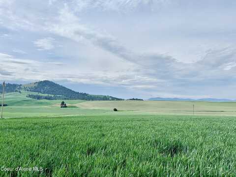 783 Lot D Old Mills Rd, Desmet, ID 83824