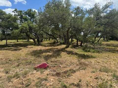 116 Riley Wood, Blanco, TX 78606