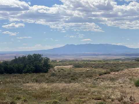 10119 County Road C, Dove Creek, CO 81324