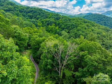 99999 Solitude Ridge, Swannanoa, NC 28778