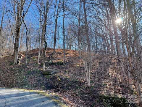 Weatherwatch Lane unit: 48, Waynesville, NC 28786
