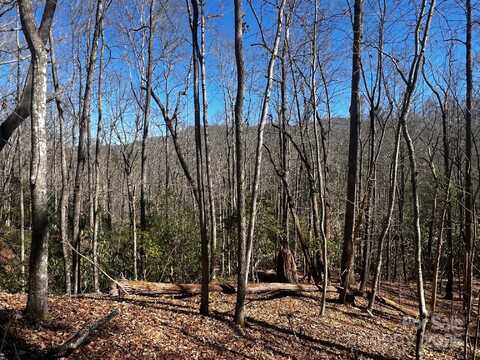 Lot 68 Cherrywood Lane, Pisgah Forest, NC 28768