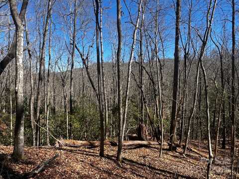 Cherrywood Lane lot: 68, Pisgah Forest, NC 28768