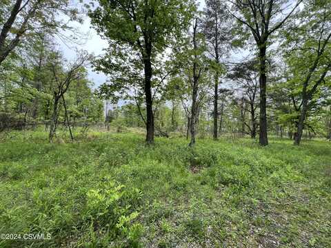 LOT 2 Avenue, Elysburg, PA 17824