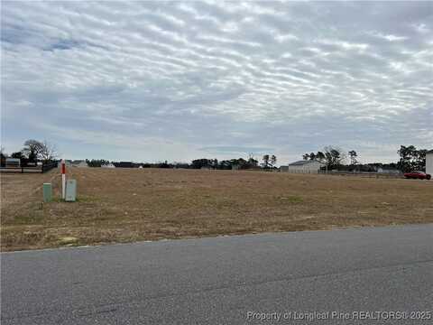 284 Rocking Horse Lane, Raeford, NC 28376