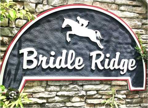 146 Bridle Ridge Lane, Canton, GA 30114