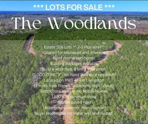 Lot 1 Honey Grove, Livingston, LA 70754