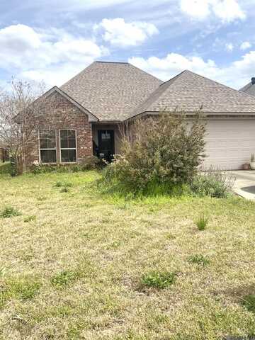 15160 Creekview Dr, Gonzales, LA 70737