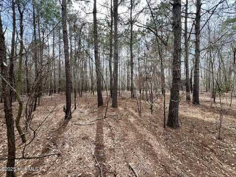 0 Jolly Ole Field Road, Grifton, NC 28530