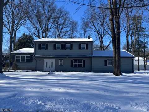 12 Warwick Rd, Whippany, NJ 07054