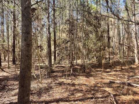 175 Hammond, Oak Vale, MS 39656