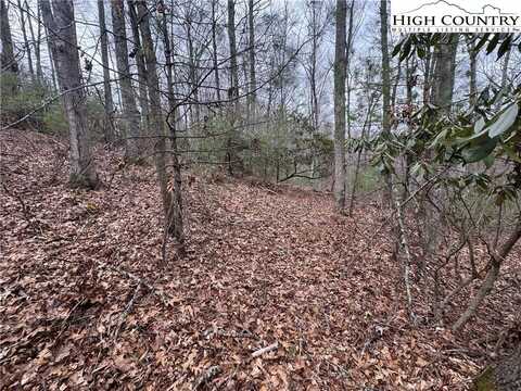 Tbd Long Leaf Drive, West Jefferson, NC 28640