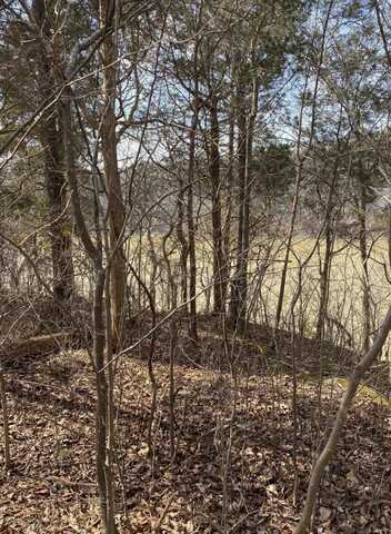 North Fork Road lot: 3, Burnside, KY 42519