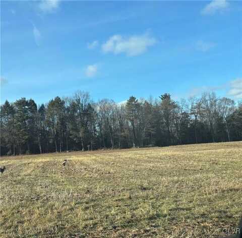 Lime Kiln Road, West Penn Twp, PA 18211