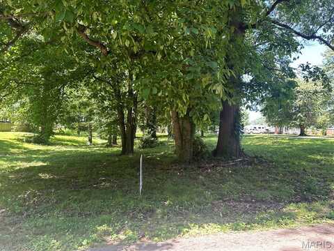 0 Lewis & Albert Street, Dexter, MO 63841