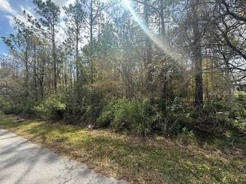 GREEN WILLOW RUN, WESLEY CHAPEL, FL 33544