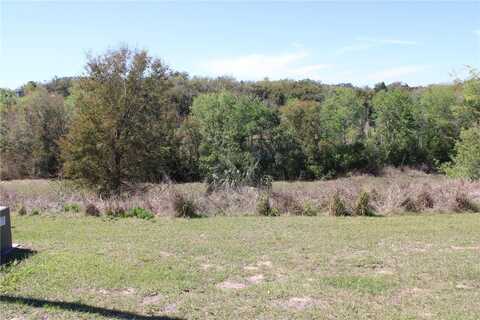 MORNINGVIEW DRIVE, EUSTIS, FL 32726