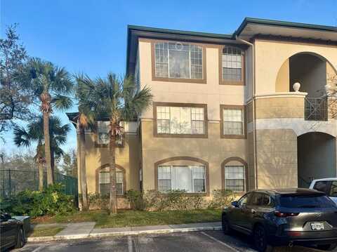 17102 CARRINGTON PARK DRIVE, TAMPA, FL 33647