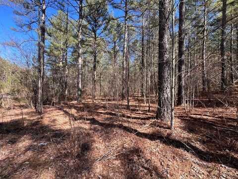 Lot 50 Deyton Dr, BLAIRSVILLE, GA 30512