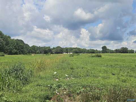 Lot 5 Scott Road, Hazel Green, AL 35750