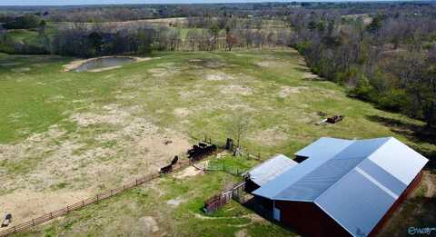 77 +/- Nixon Chapel Road, Horton, AL 35980