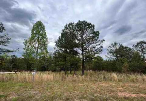 Lot 65 Village Loop, Blairsville, GA 30512