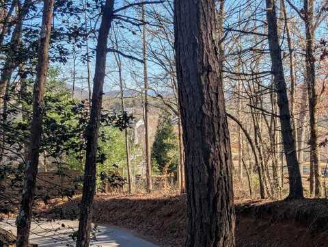Ivy Log Drive, Blairsville, GA 30546