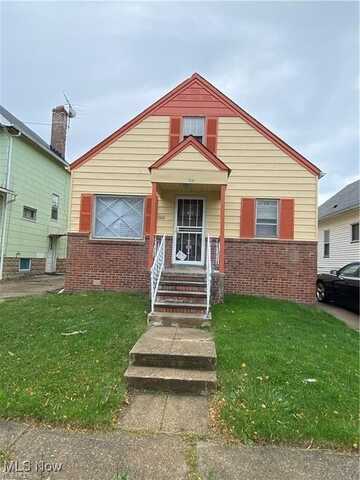 1538 E 173rd Street, Cleveland, OH 44110