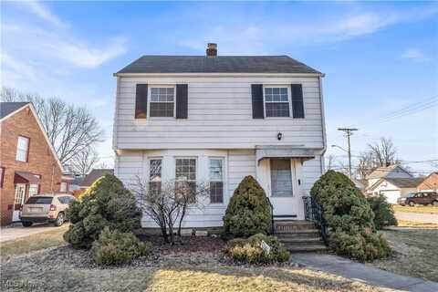 18920 Newton Avenue, Euclid, OH 44119