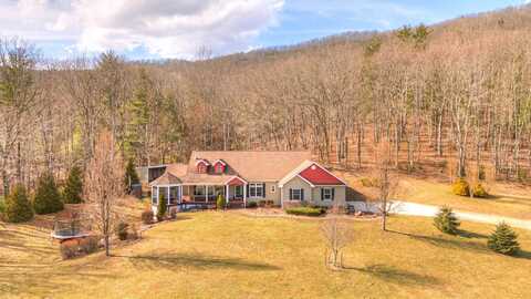 317 Cumberland Gap Road, Newport, VA 24128