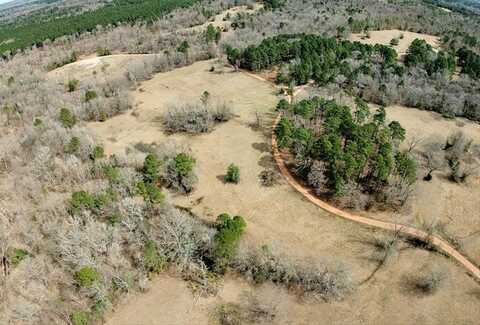 1425 State Highway 300, Gilmer, TX 75645