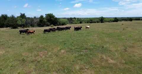 7.5 Acres Wright & Keyes Road, Sherman, TX 75092