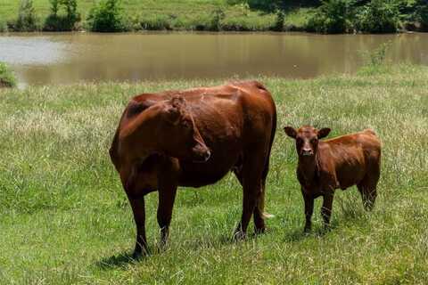 Tbd Shaffer Road, Denison, TX 75021