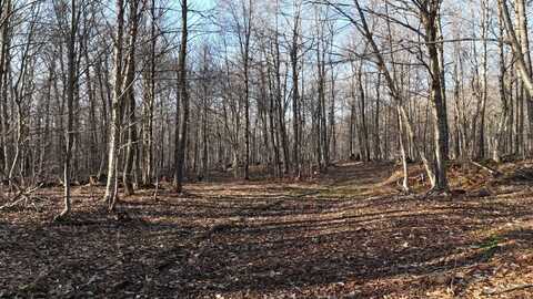 00 Jackson Rd, Osceola, NY 13437