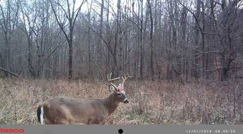 0 Highway 431, Drakesboro, KY 42337