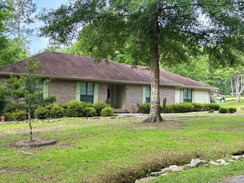 41 Covered Bridge Cove Rd, Carriere, MS 39426