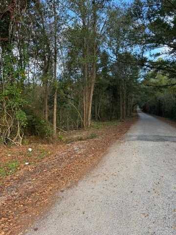 00 Tom Chance Rd, Poplarville, MS 39470