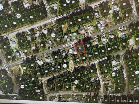 7909 N Sarazen Drive, Citrus Springs, FL 34434