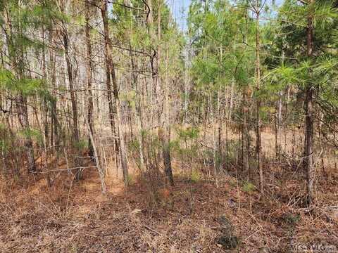 tbd Speckle Cove Rd, Henrico, NC 27842