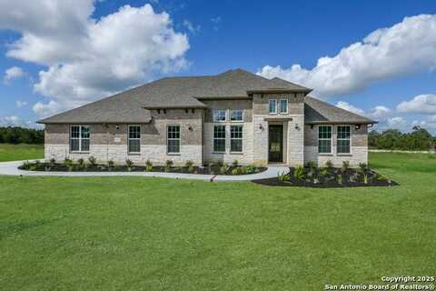 10811 Chestnut Warbler, New Braunfels, TX 78132