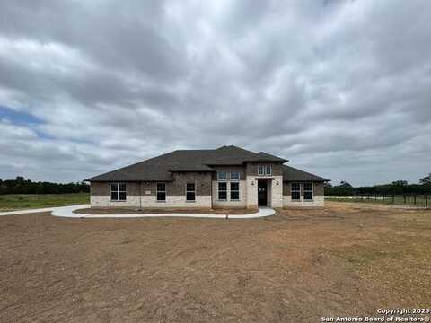 10811 Chestnut Warbler, New Braunfels, TX 78132