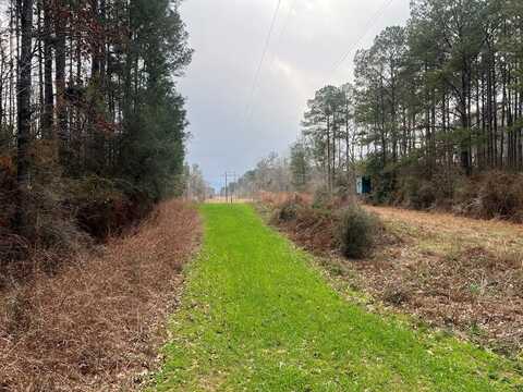 TBD Blalock Road, Gloster, MS 39638