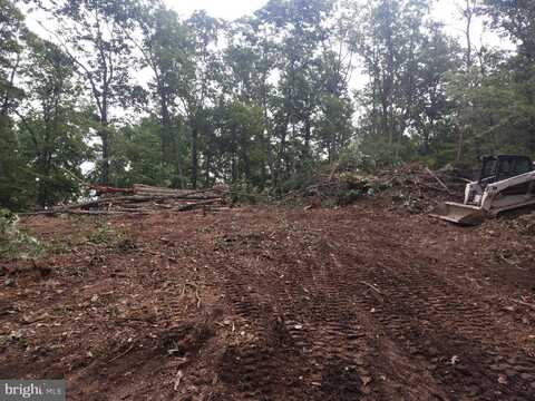 LAURA COURT, BASYE, VA 22810