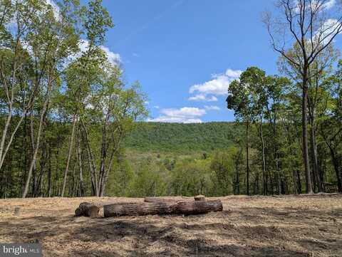Lot 20 OTTER CREEK DRIVE, GERRARDSTOWN, WV 25420