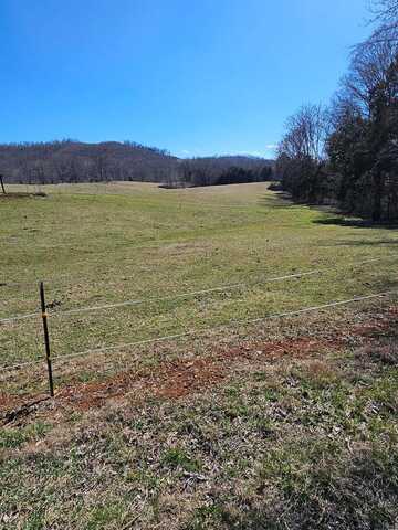 5 acres NW Ben Ogletree Lane, LIVINGSTON, TN 38570