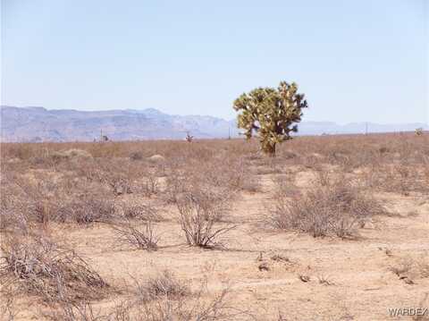 Dale Evans Road lot: 517, Yucca, AZ 86438