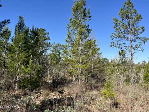 Carey Boulevard lot: 18, Chipley, FL 32428
