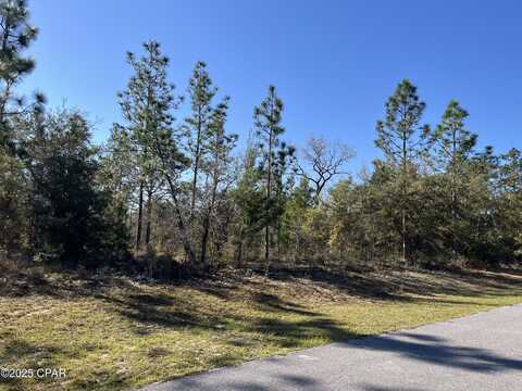 Shelby Court lot: 17, Chipley, FL 32428